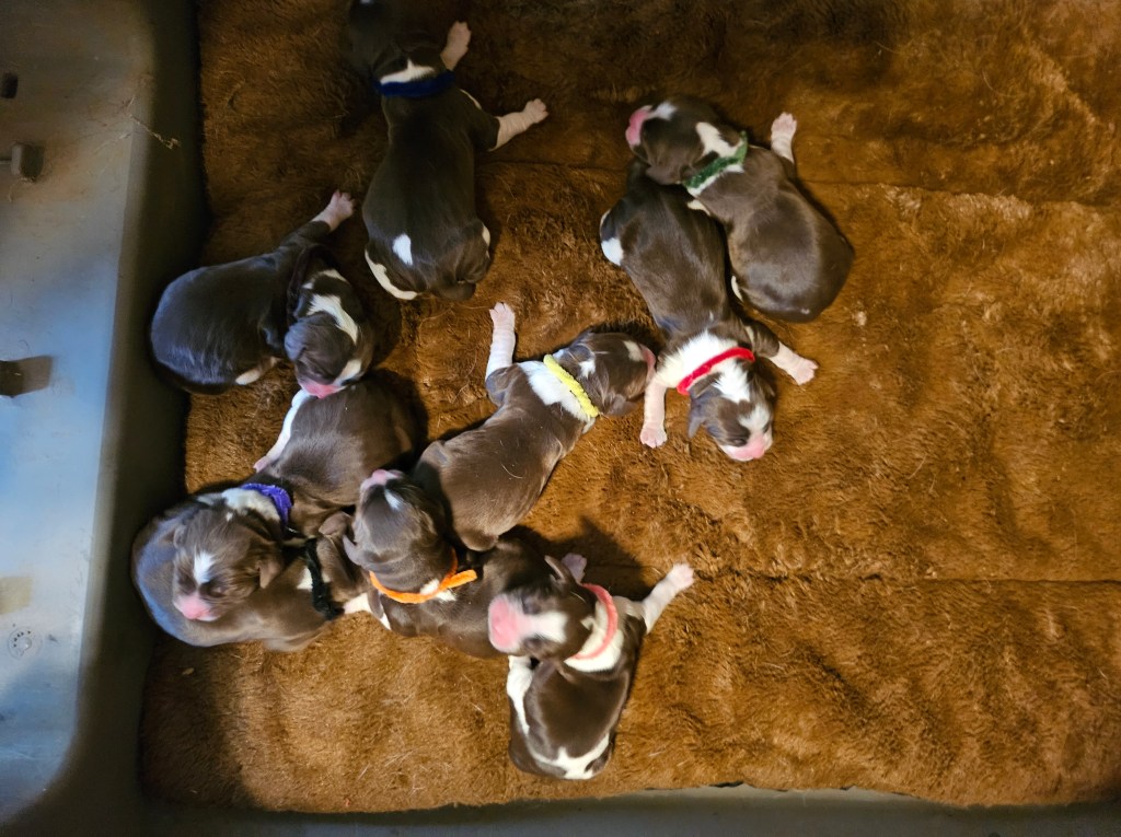 fresh bed, ready for mom
