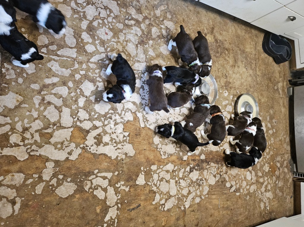 Enjoying some solid food.